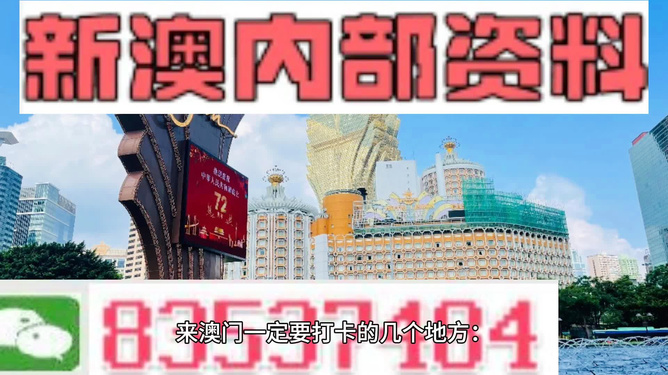 2024新澳最精准资料｜2024年澳门最准确的信息_精细分析解答解释计划