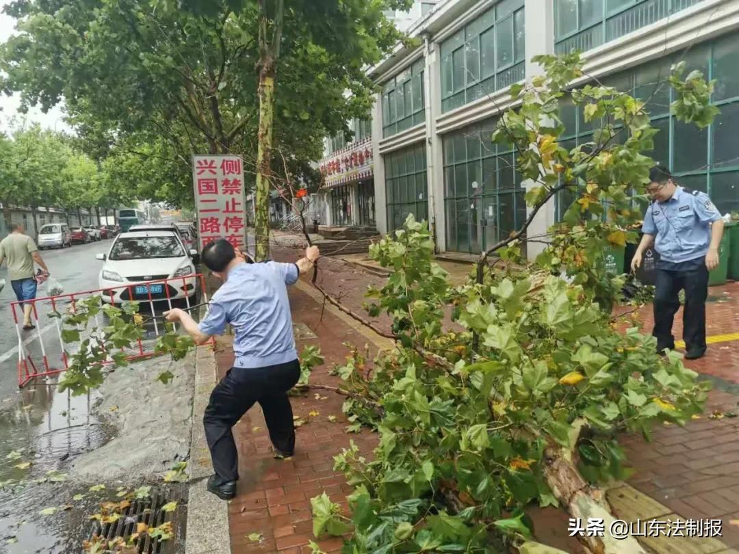 展望未来，台风动向每日速递，安全相伴，美好同行！