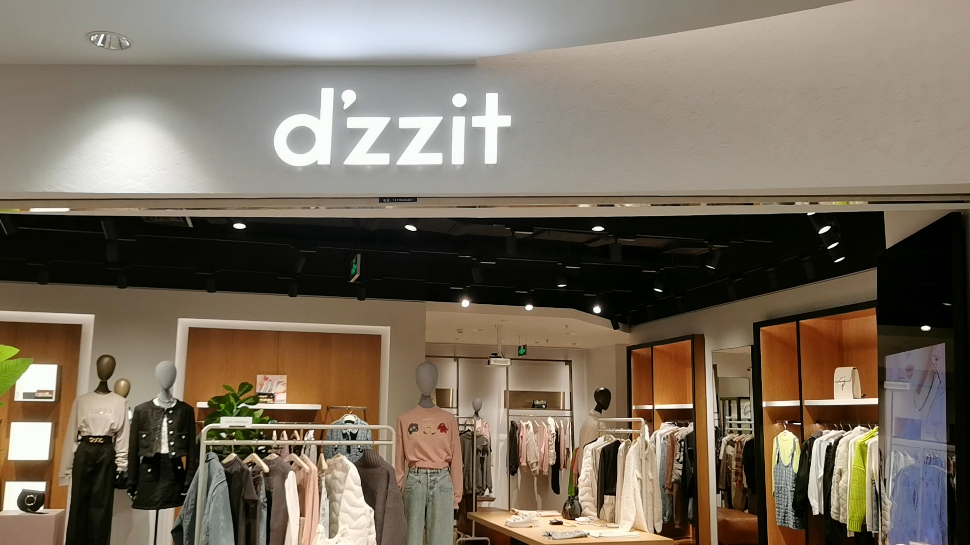 尽享dzzit新品风采展！