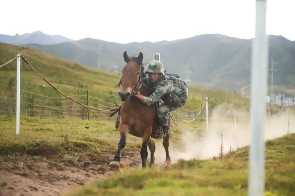 骑兵风采，安与战报频传，喜讯连连