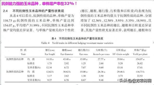 2025年度玉米品种盘点：揭秘最新优质玉米种子品种推荐